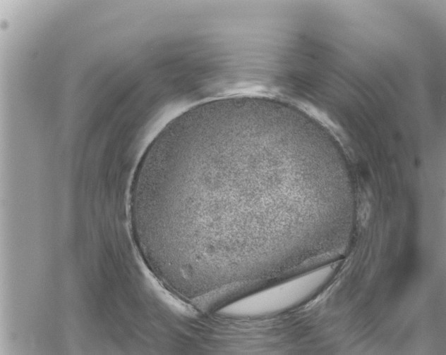 X0000065261423200602211238