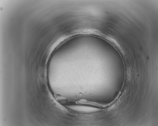 X0000065261424200602211238