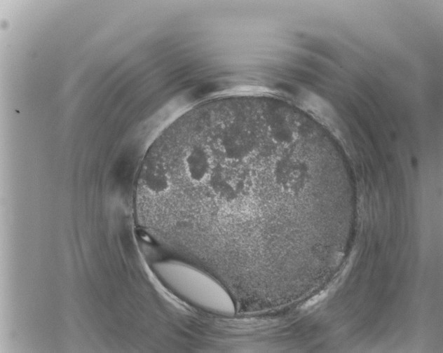 X0000065261425200602211238