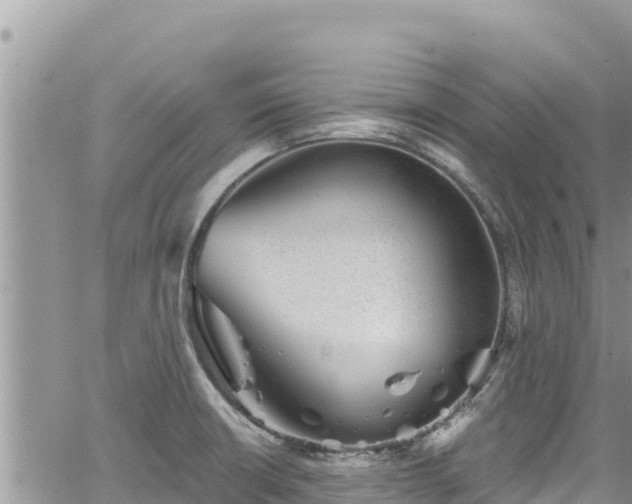 X0000065261426200602211238