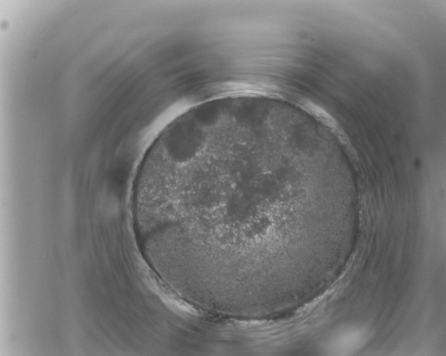 X0000065261427200602211238