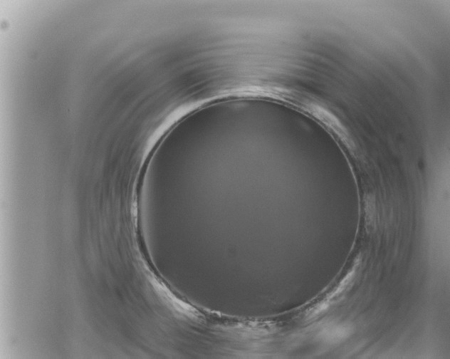 X0000065261428200602211238