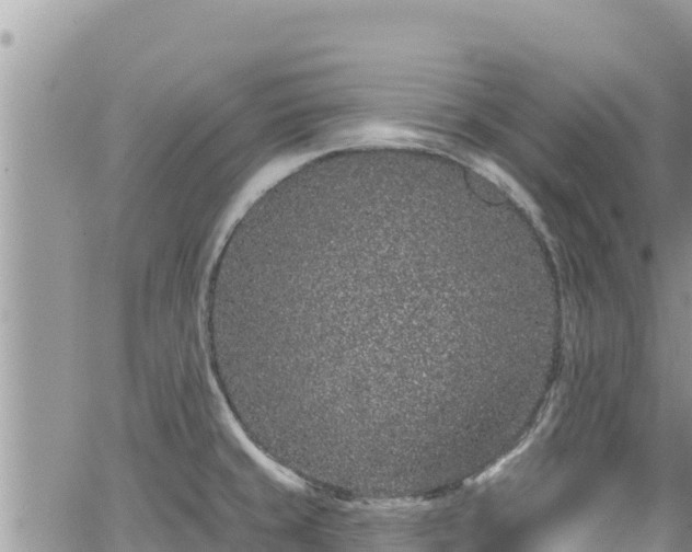 X0000065261429200602211239