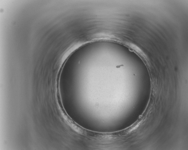 X0000065261431200602211239