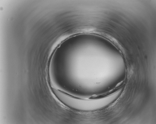 X0000065261432200602211239