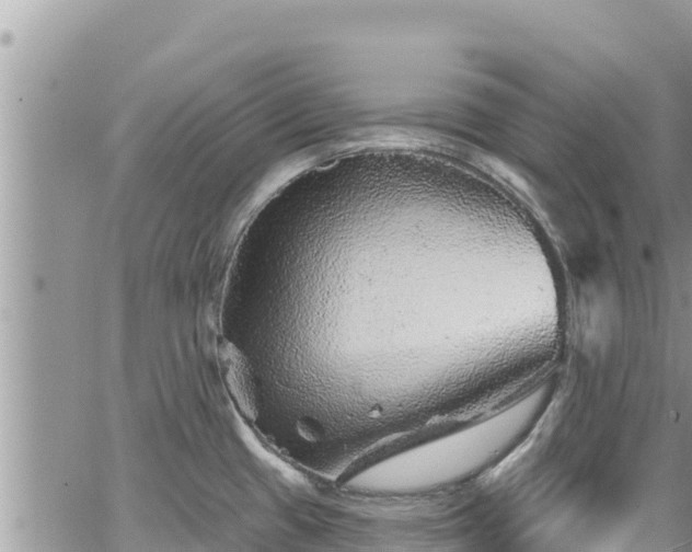 X0000065261433200602211239