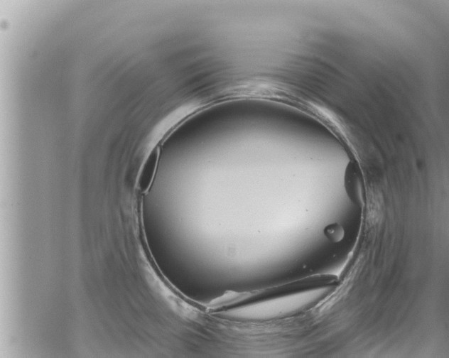 X0000065261434200602211239