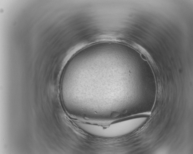 X0000065261435200602211239