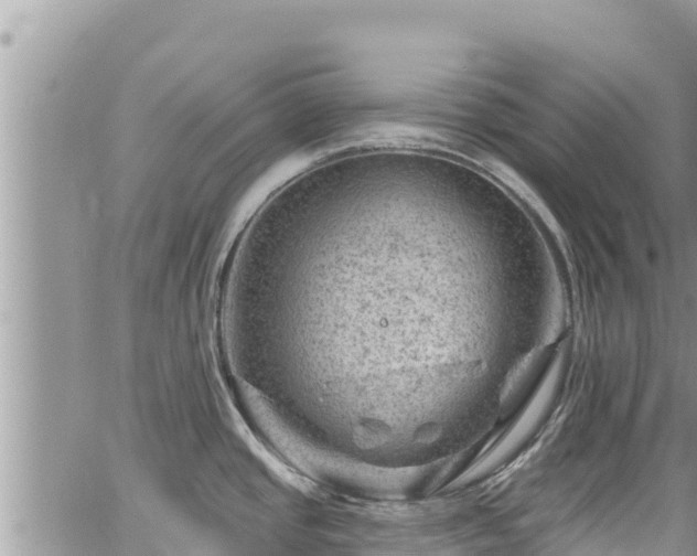 X0000065261437200602211239