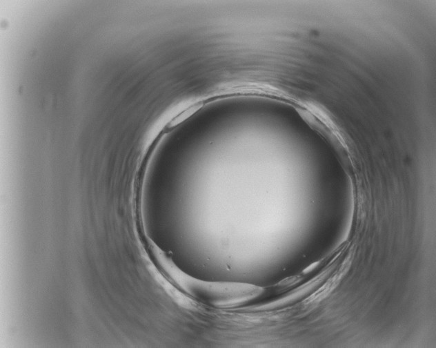 X0000065261438200602211239