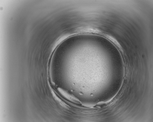 X0000065261439200602211239