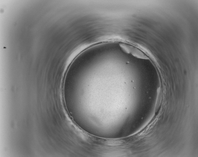 X0000065261440200602211239