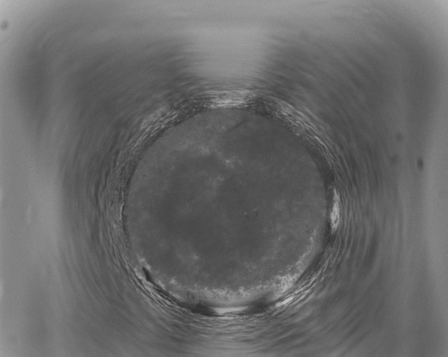 X0000065261441200602211238