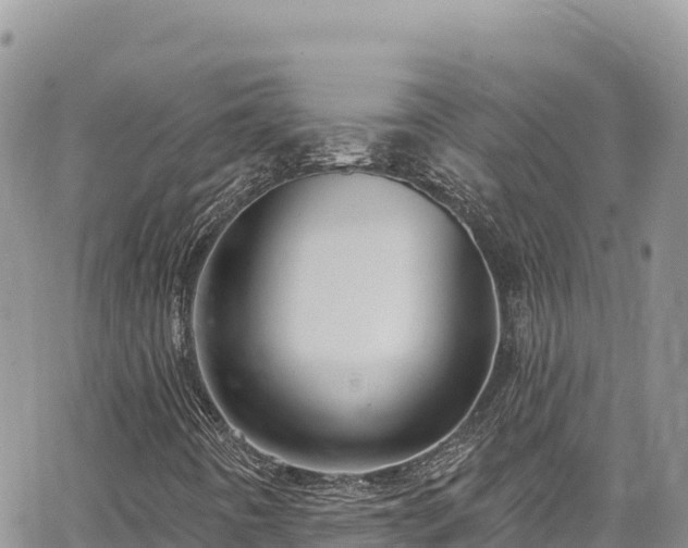 X0000065261442200602211238