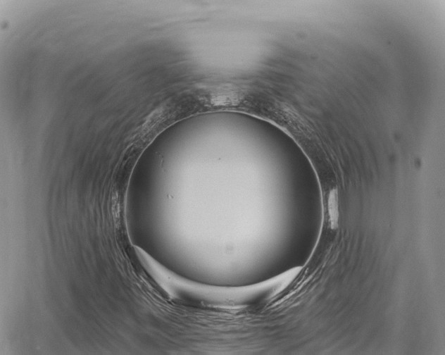 X0000065261443200602211238