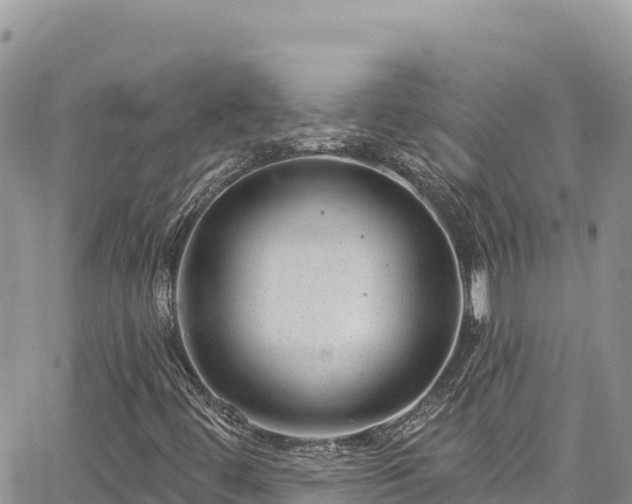 X0000065261444200602211238