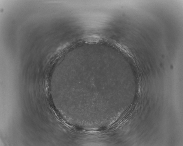 X0000065261445200602211238