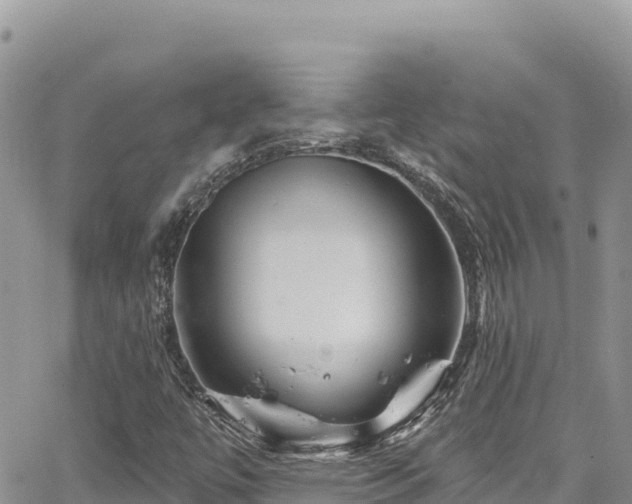 X0000065261447200602211238