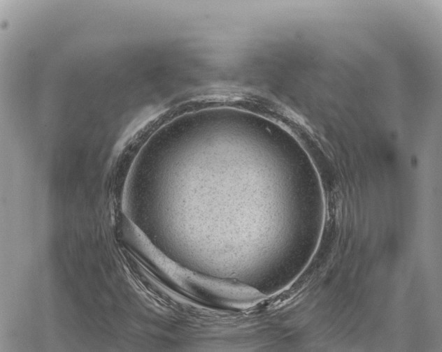 X0000065261448200602211238