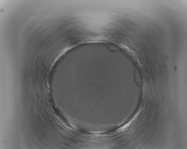 X0000065261449200602211238