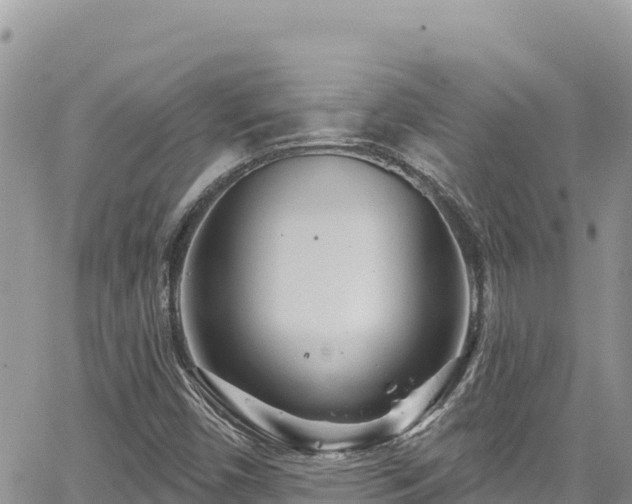 X0000065261450200602211238