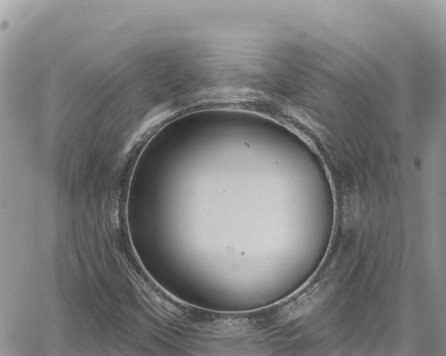 X0000065261451200602211238