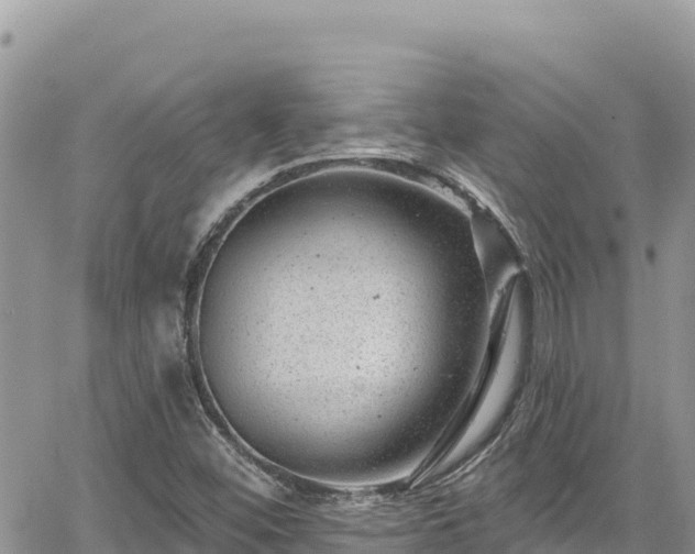 X0000065261452200602211238