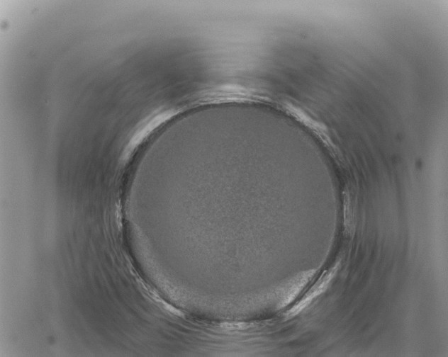 X0000065261453200602211238