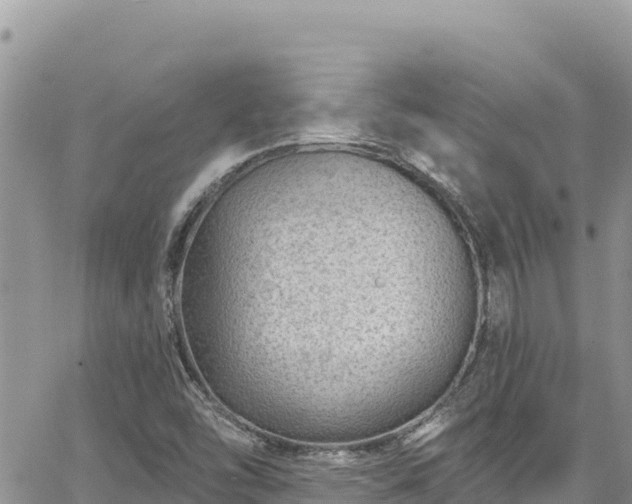 X0000065261454200602211238