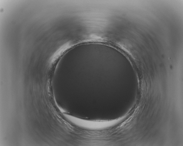 X0000065261455200602211238