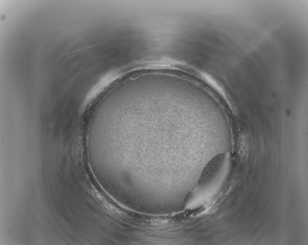 X0000065261456200602211238