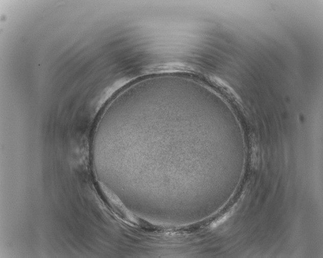 X0000065261457200602211238