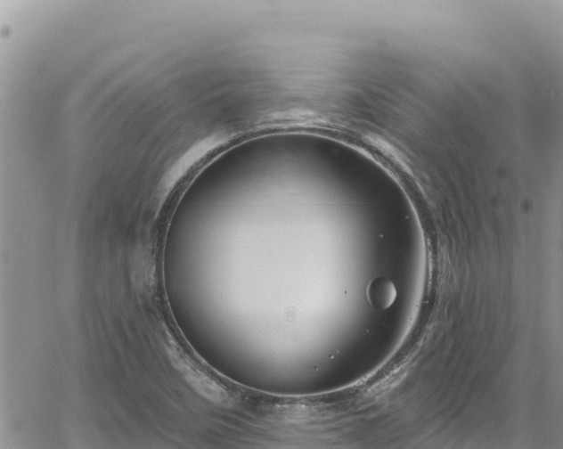 X0000065261458200602211238