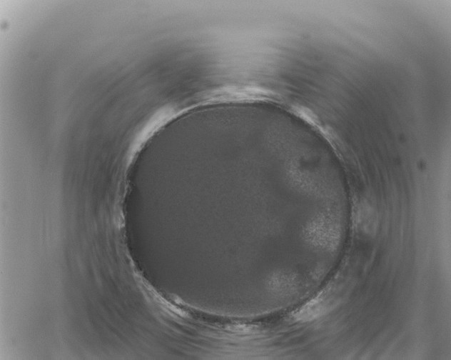 X0000065261459200602211238