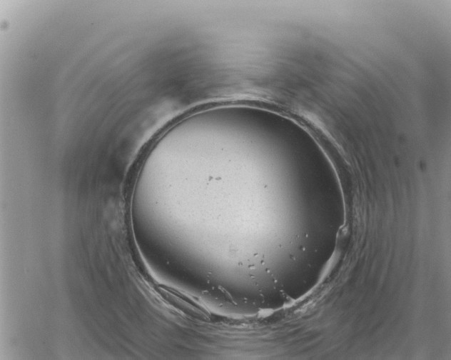 X0000065261460200602211238