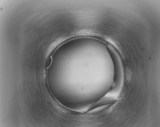 X0000065261461200602211238