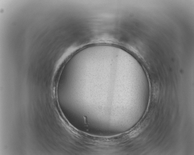 X0000065261462200602211238