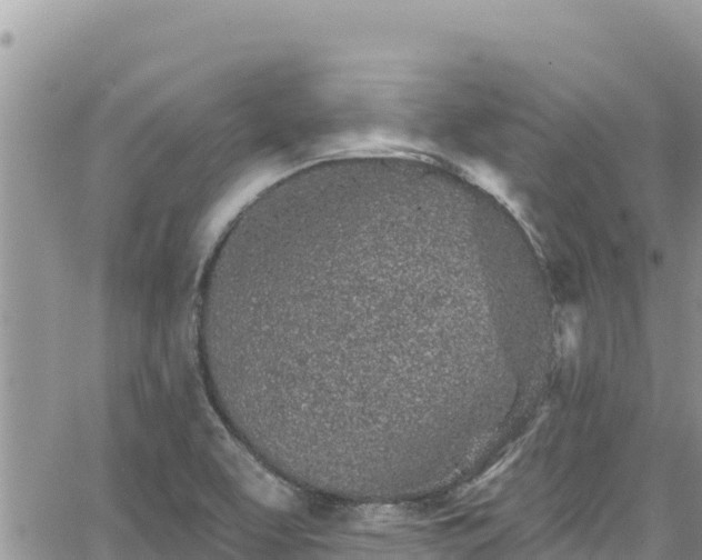 X0000065261463200602211238