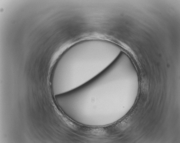 X0000065261464200602211238