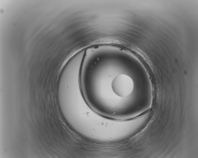 X0000065261465200602211238