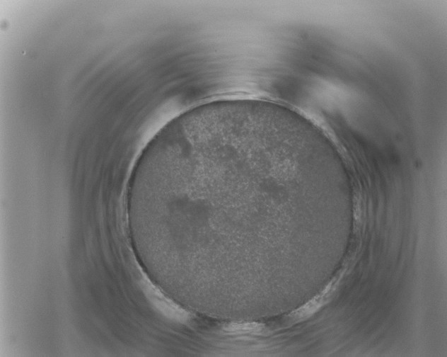 X0000065261466200602211238