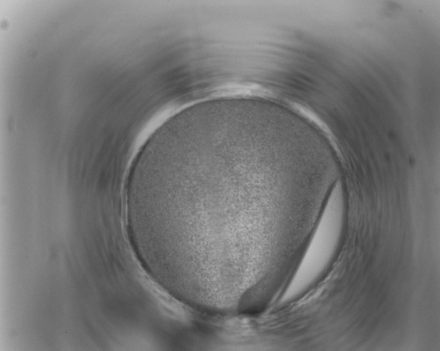 X0000065261467200602211237