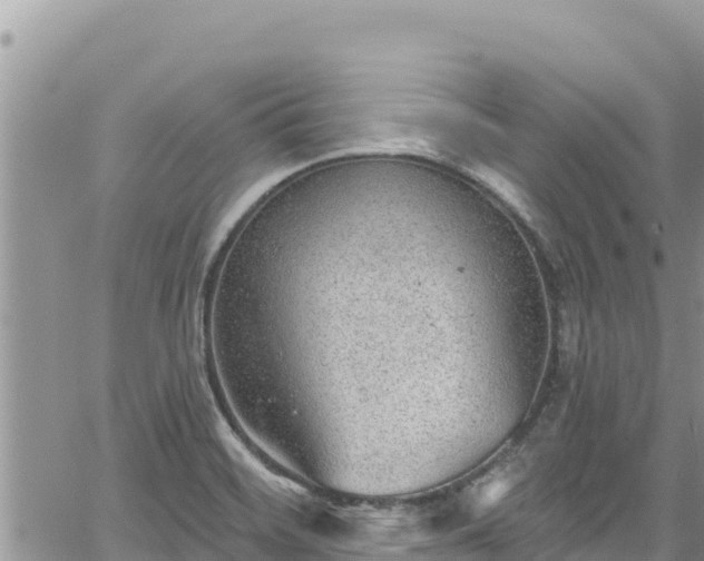 X0000065261468200602211237