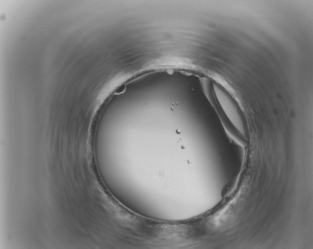 X0000065261469200602211237