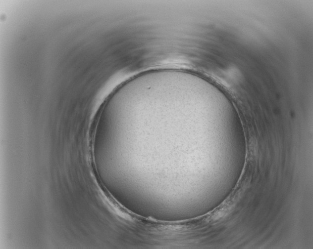 X0000065261470200602211237