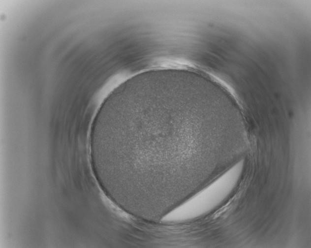 X0000065261471200602211237