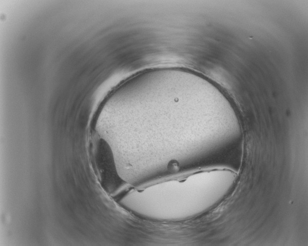 X0000065261472200602211237