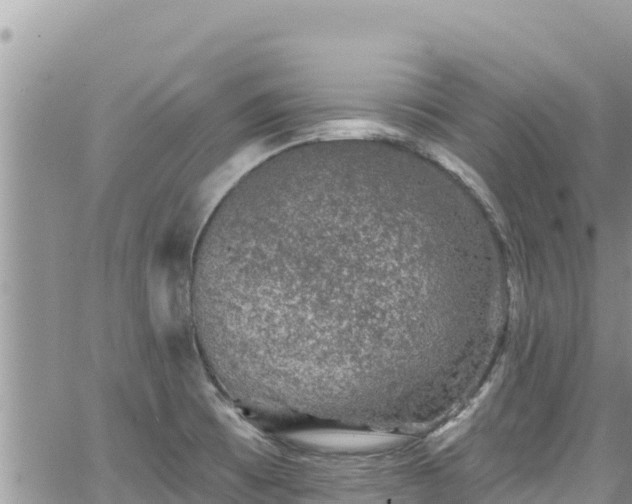 X0000065261473200602211237