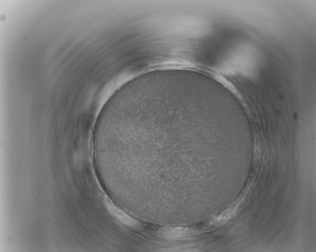 X0000065261474200602211237