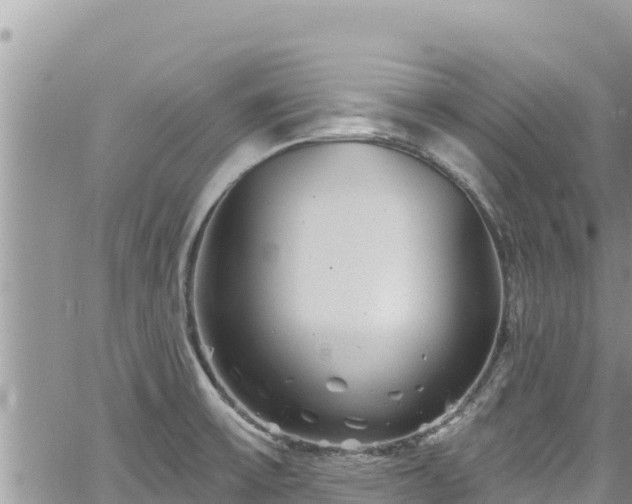 X0000065261475200602211237